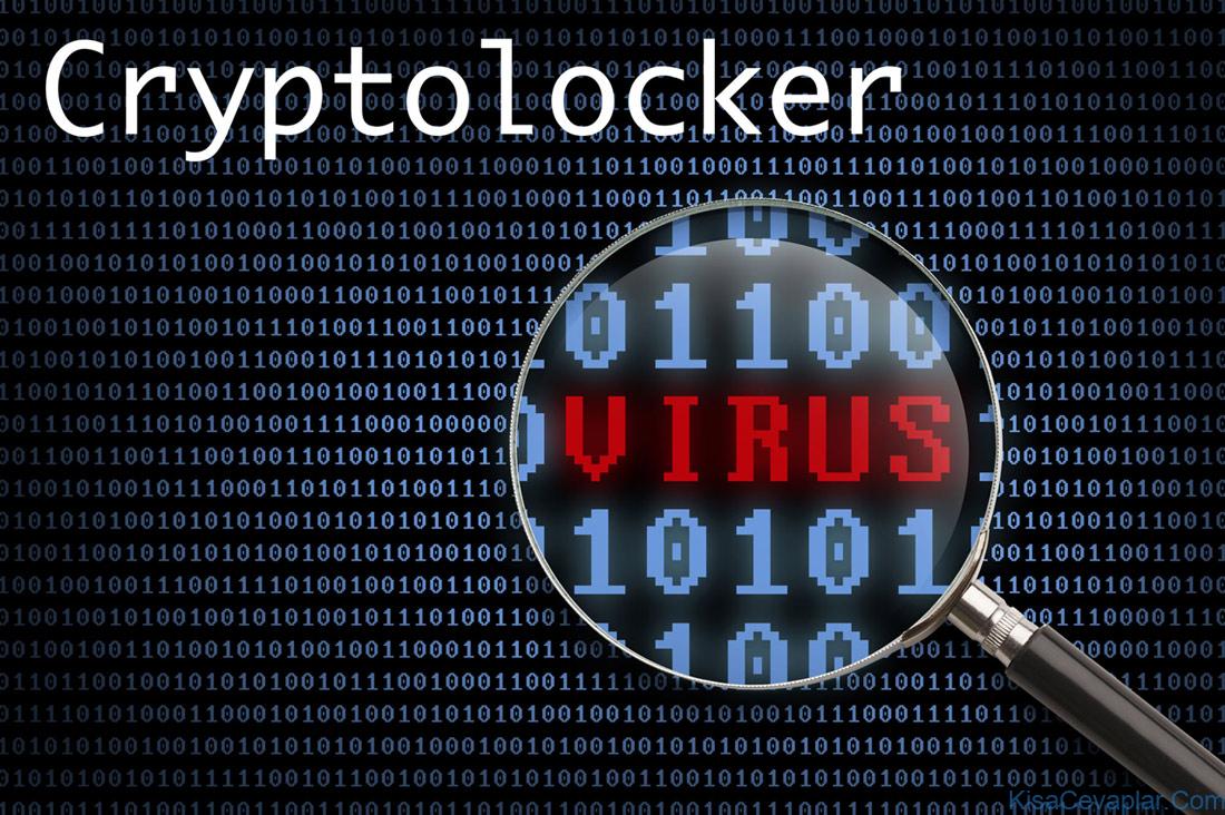 Cryptolocker Virus Ile Ilgili Görsel Sonucu